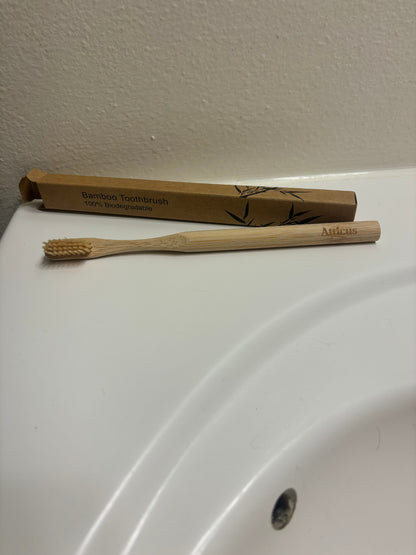 Bamboo Tooth Brush